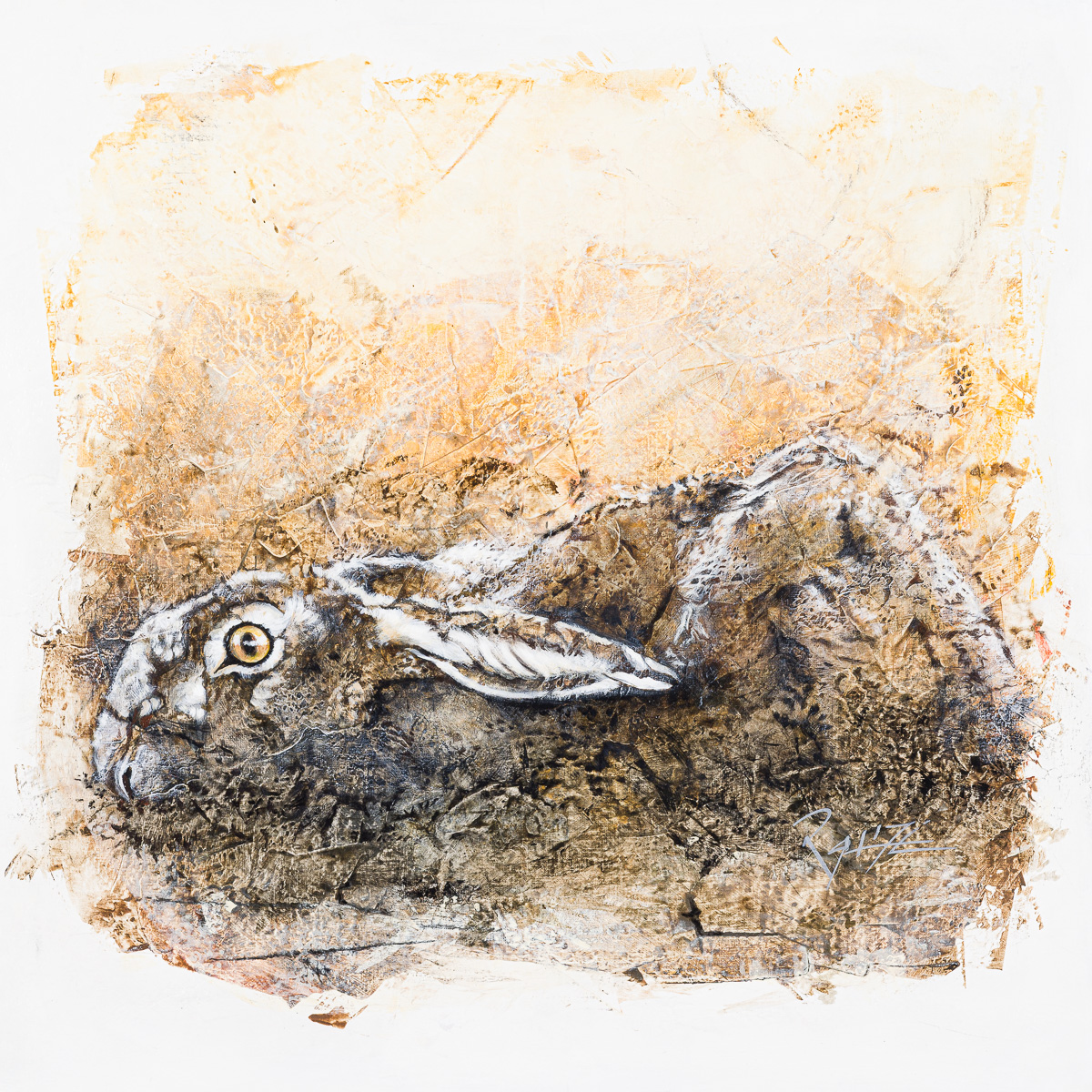 Galerie Petit gibier et Oiseaux